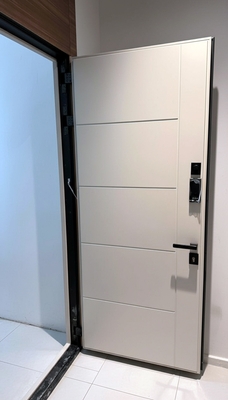 С фальш-вставкой и скрытыми петлями