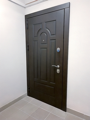 Стальная дверь в квартиру Стальная дверь в квартиру