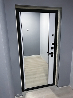 Зеркальная внутренняя панель Зеркальная внутренняя панель